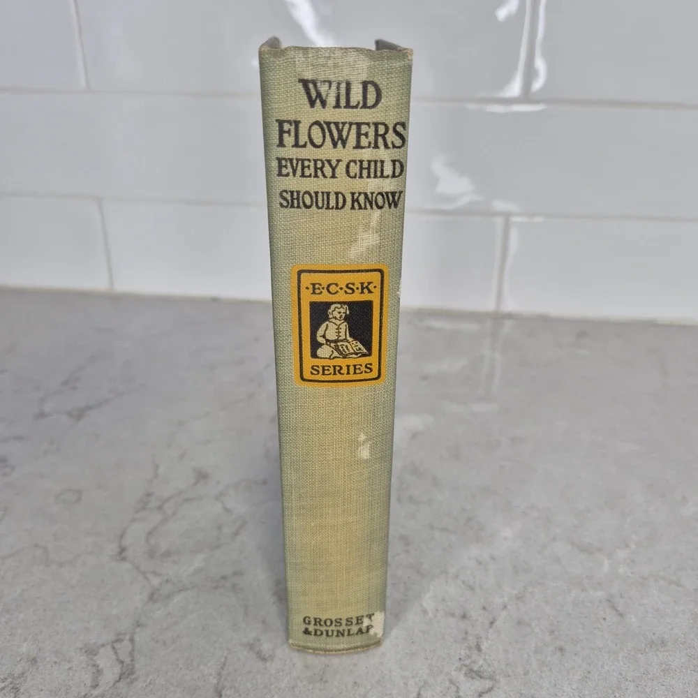1909 BOOK WILD‎ FLOWERS EVERY CHILD SHOULD KNOW BY FREDERIC WILLIAM STACK
